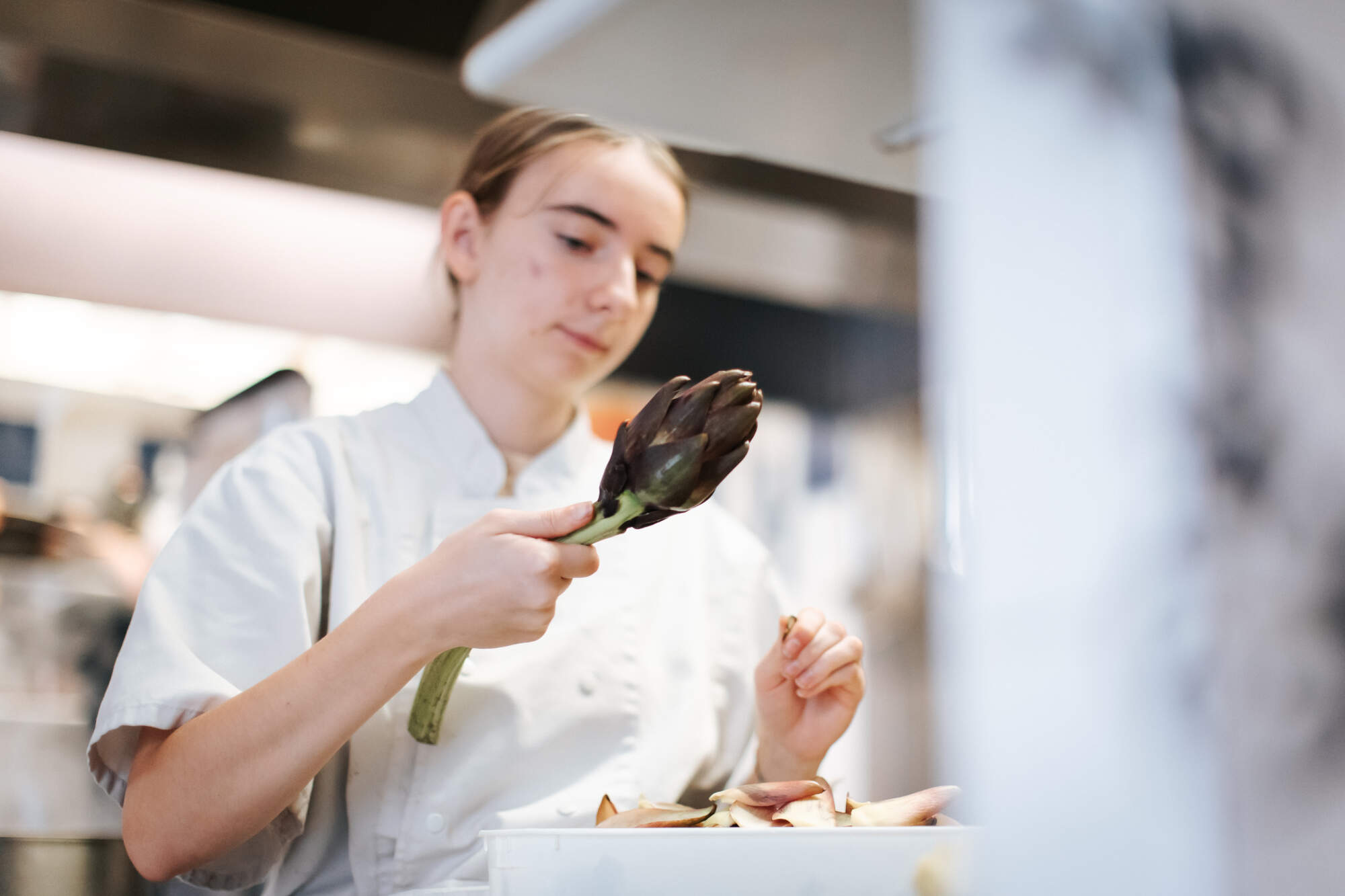 brigade cuisine le Pasturier